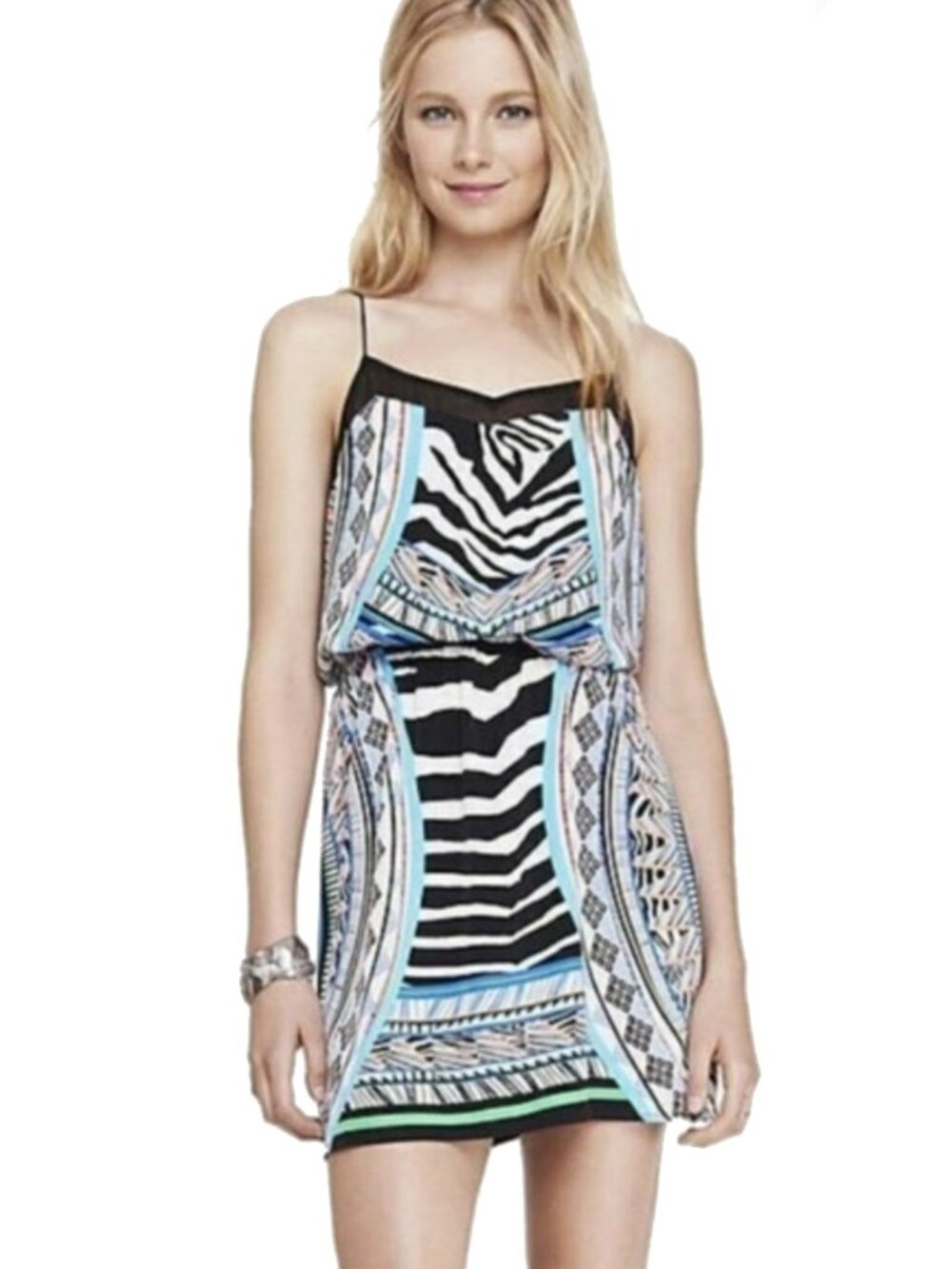 Express Geometric Zebra Print Multi-Color Dress | S